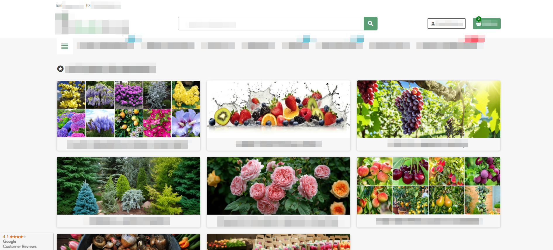 case-study-one-client-reviews